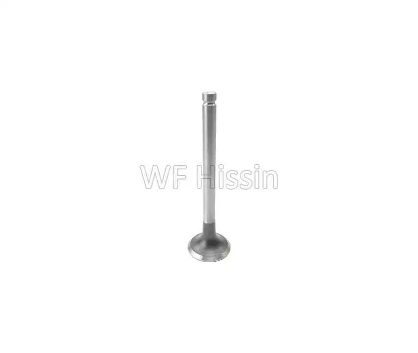 Exhaust valve 4C6